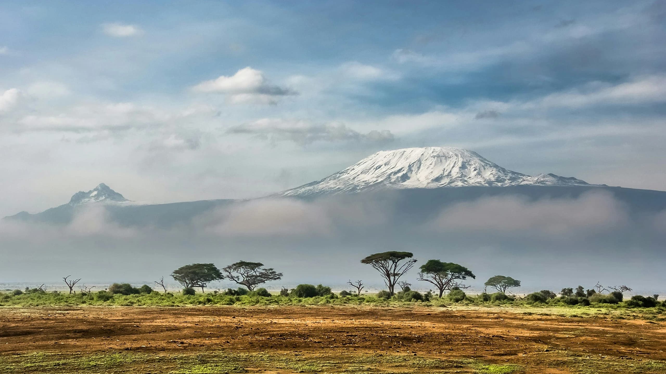 Kilimanjaro at sunrise