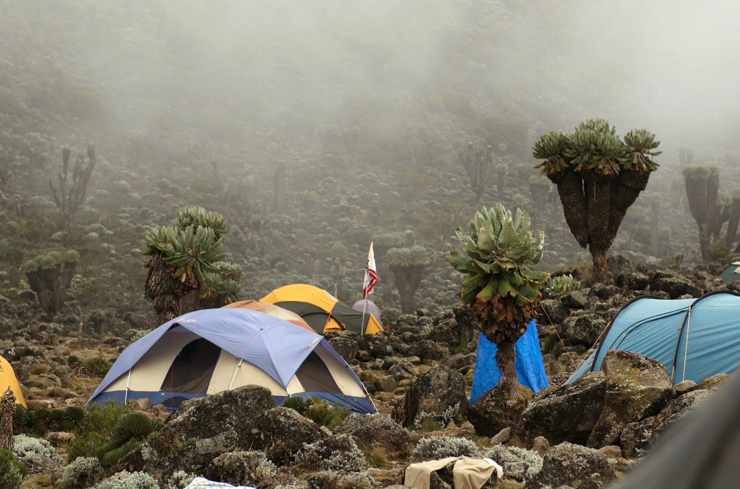 Moshi - Machame hut (9,840ft | 3000m)