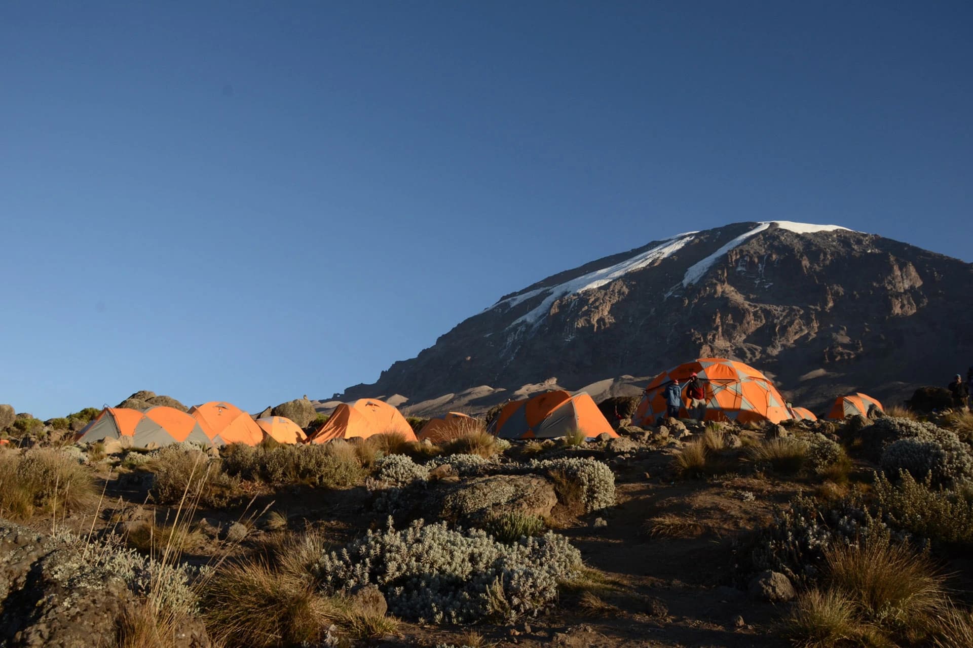 Machame hut - Shira hut (12,470ft | 3800m)