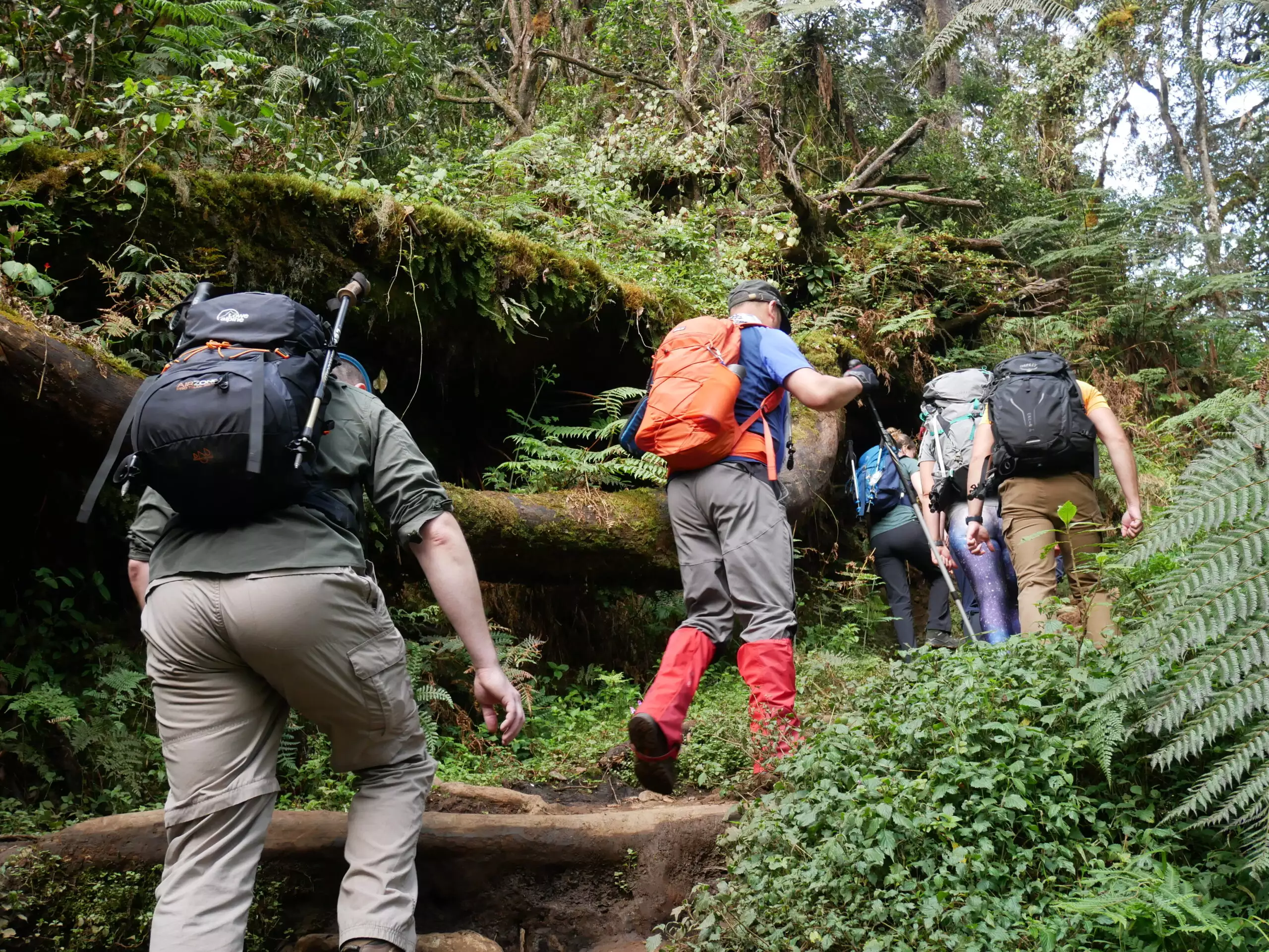 Kilimanjaro Climb on Machame Route