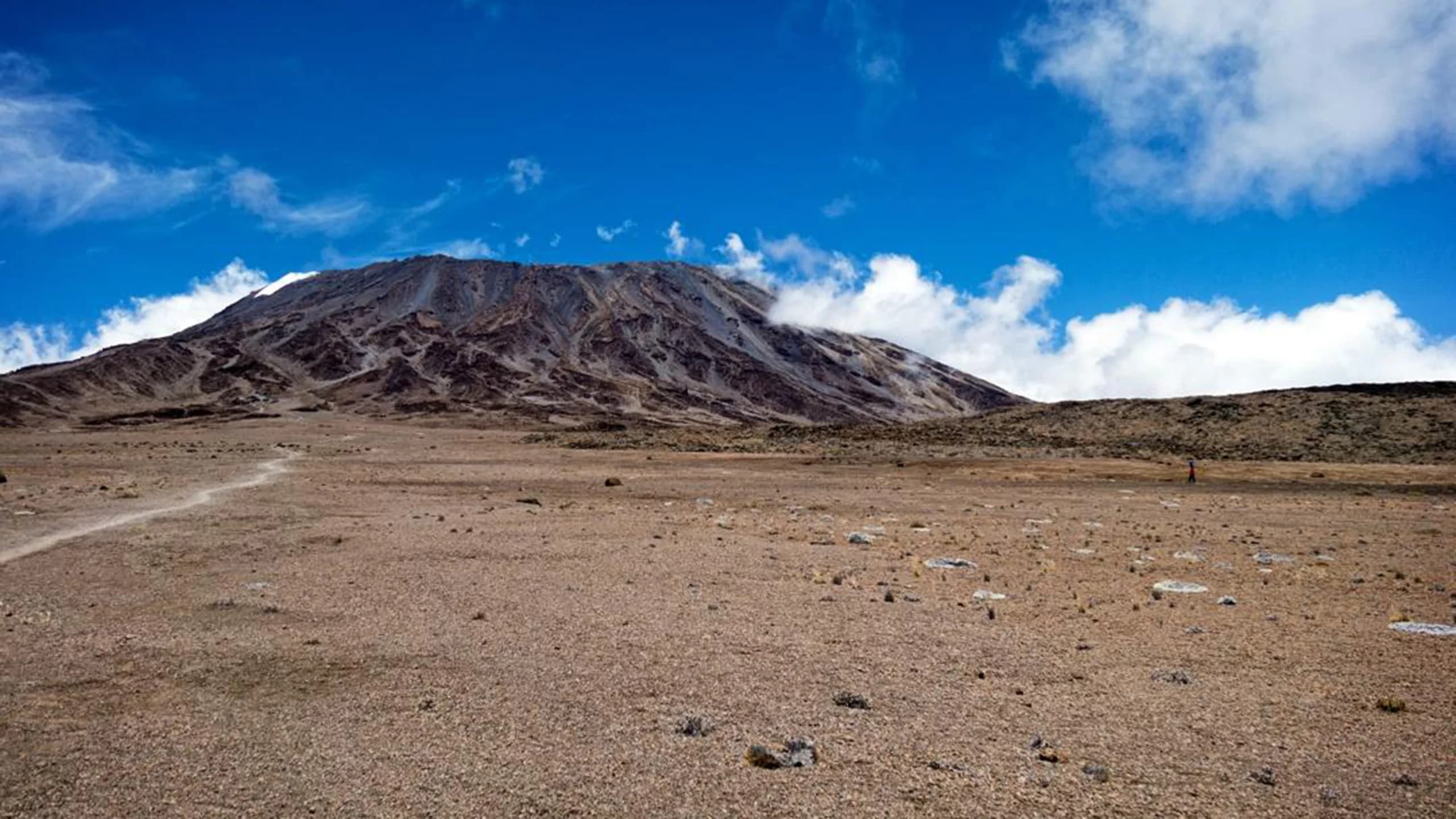 Arrive Kilimanjaro Airport, transfer to Moshi