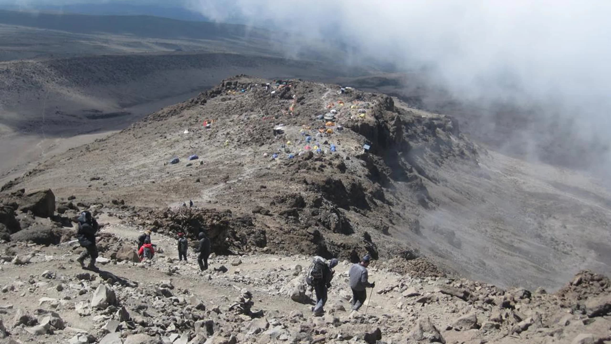 Shira 2 to Moir Hut (via Lava Tower acclimatization)