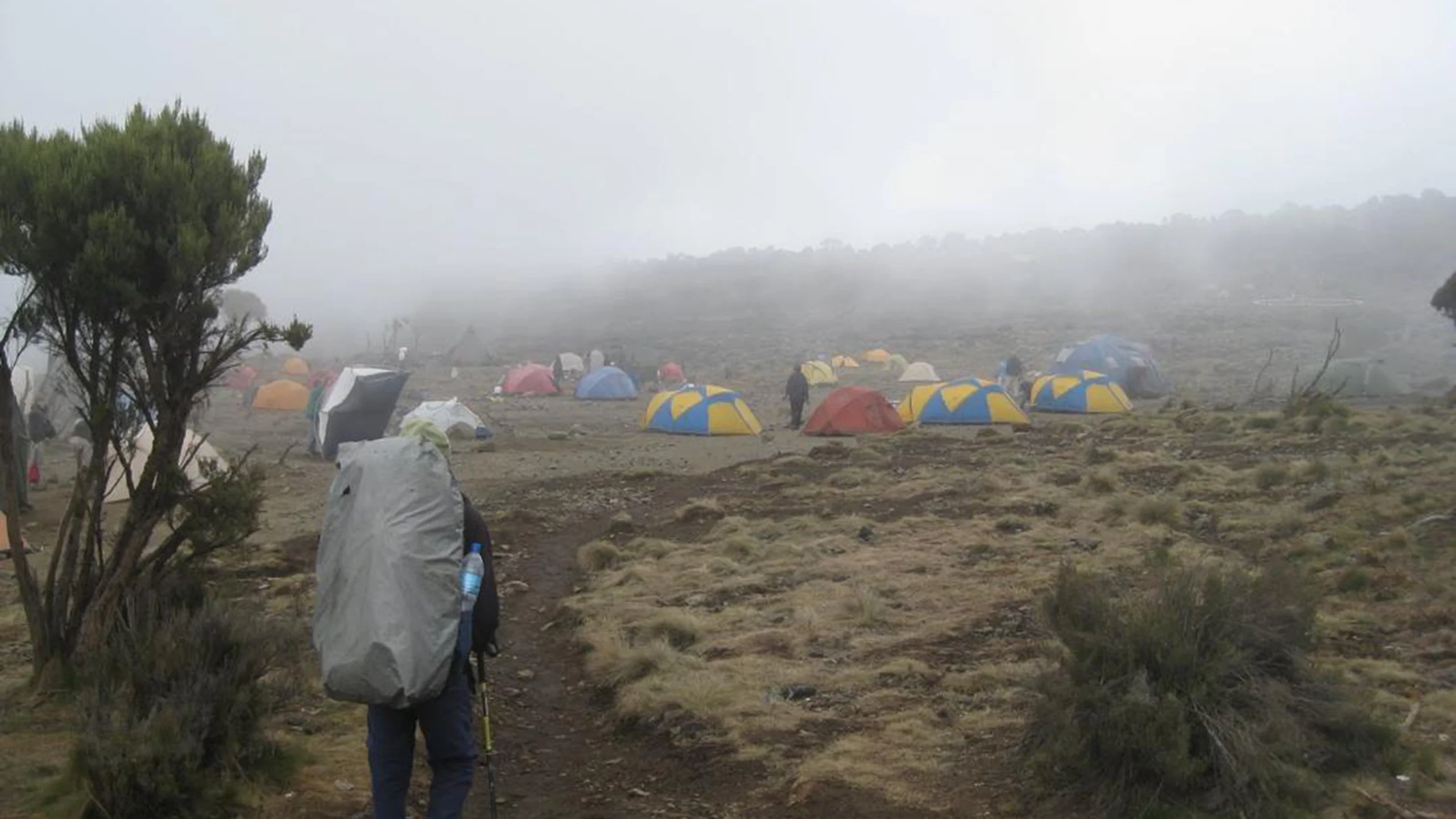 Moir Hut to Buffalo Camp