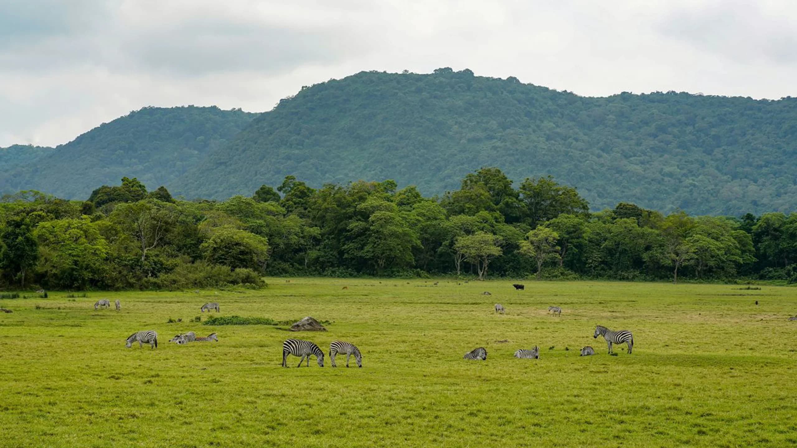 Arusha National Park