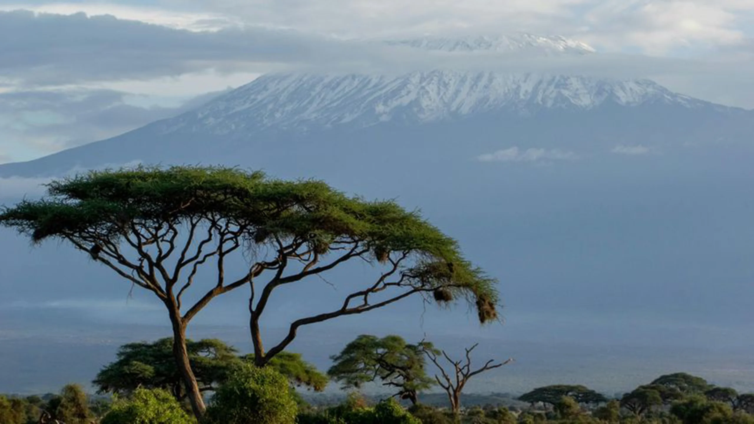 Mount Kilimanjaro photo 4