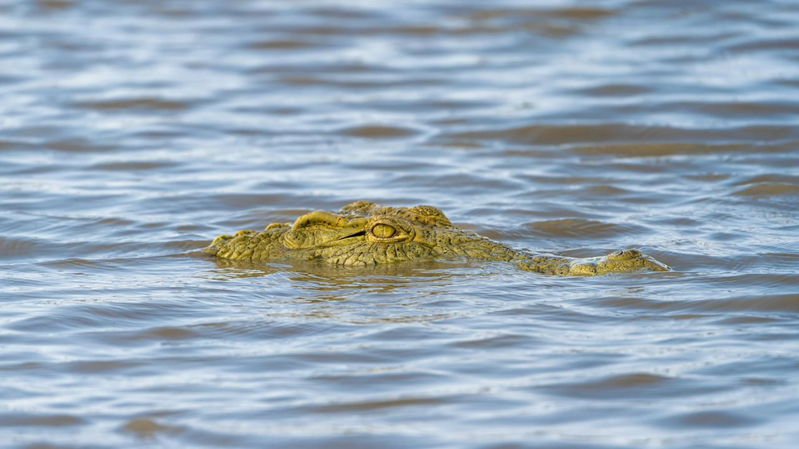Makuyuni Wildlife Park photo 3