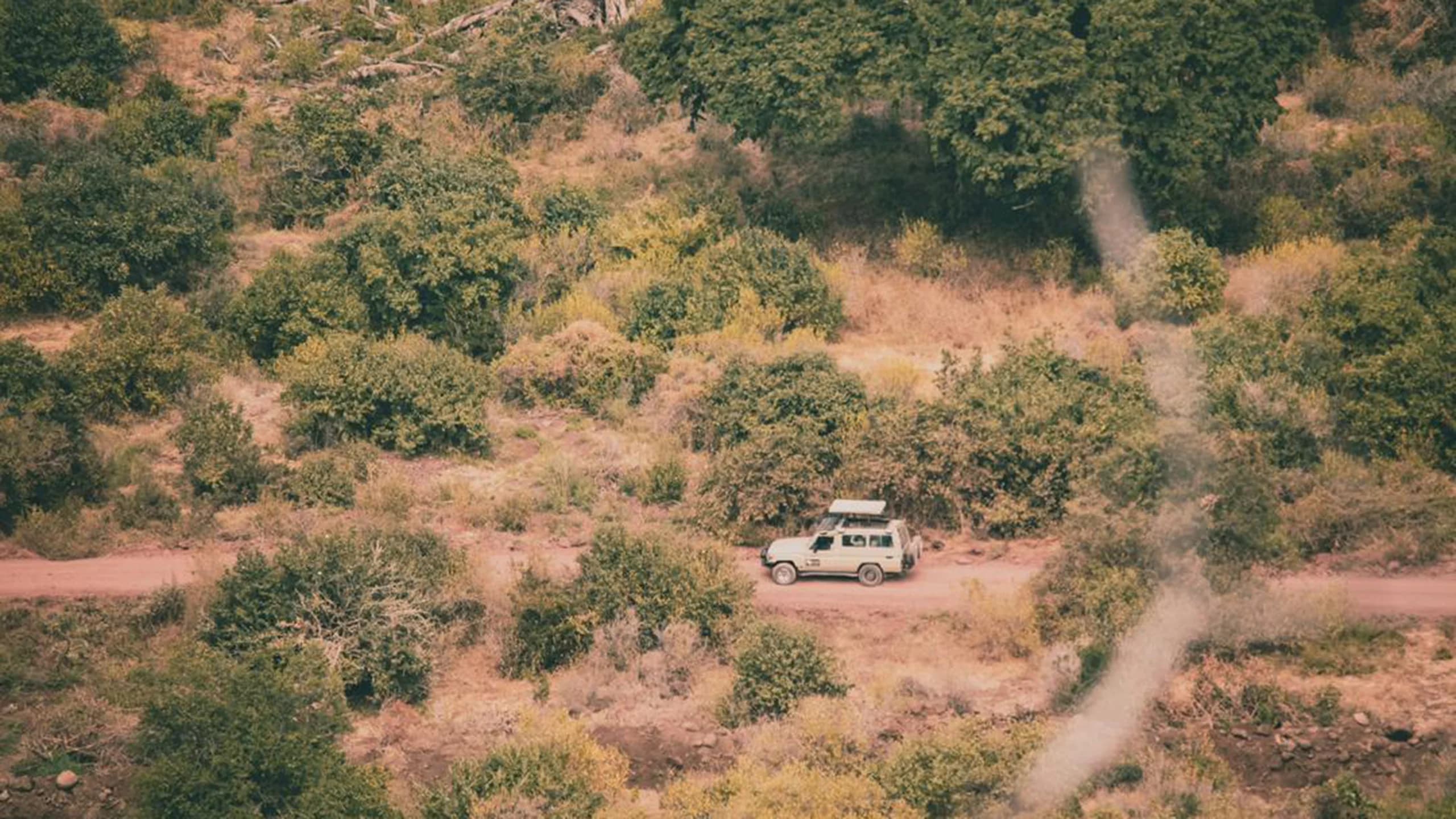 Lake Manyara National Park