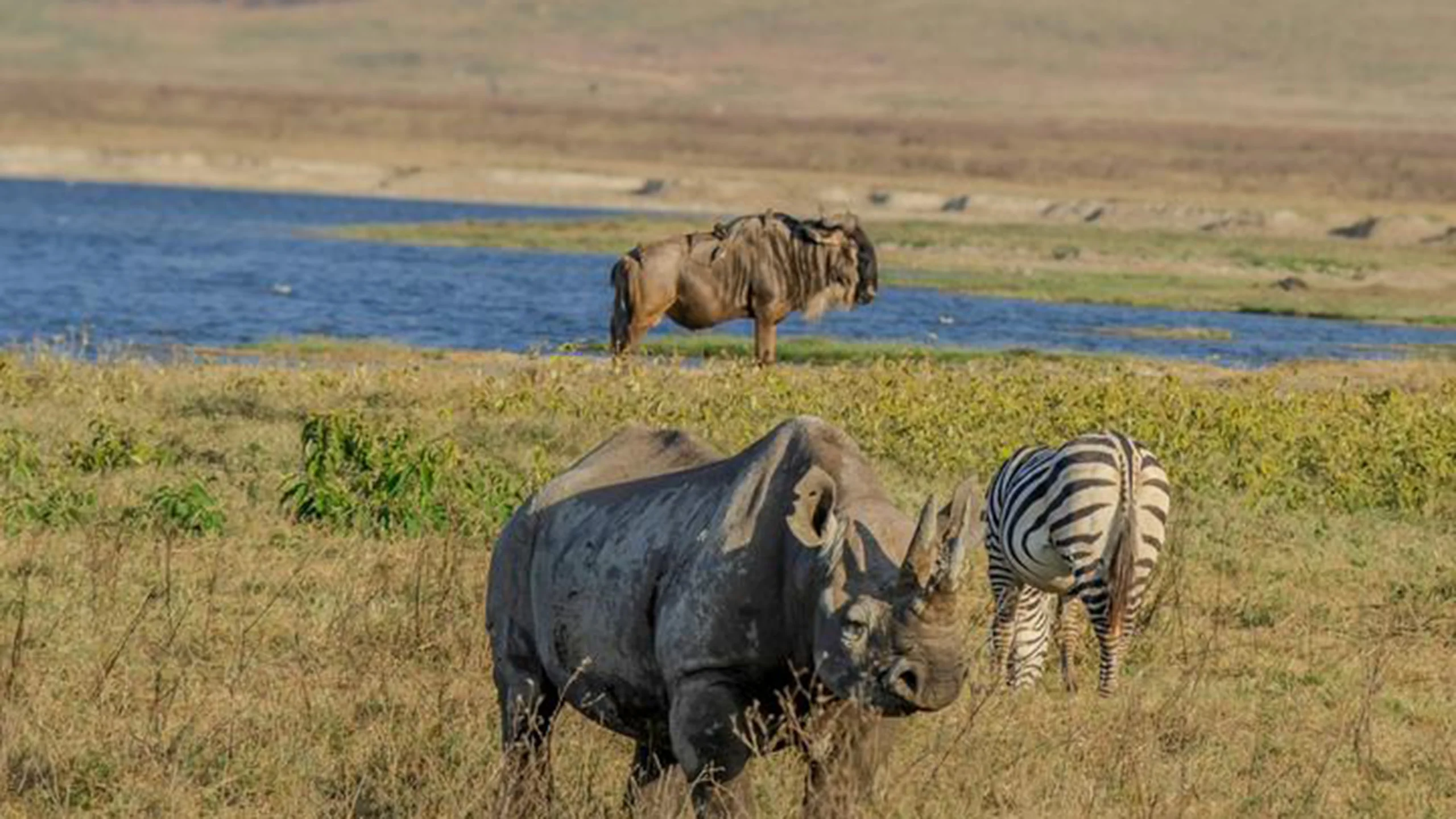 Ngorongoro Conservation Area photo 4