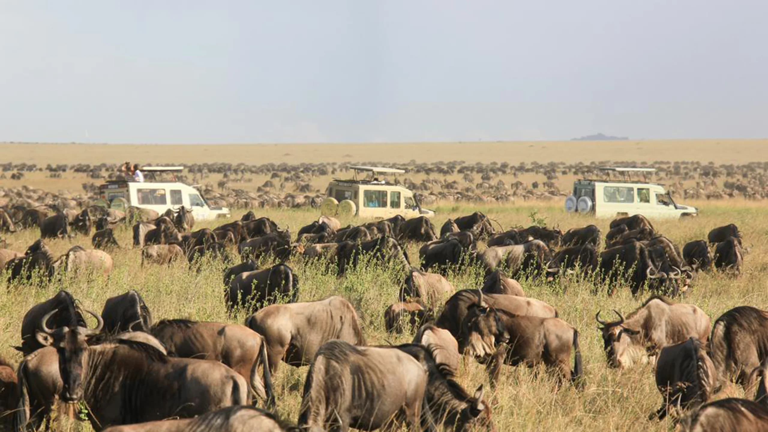 Serengeti National Park