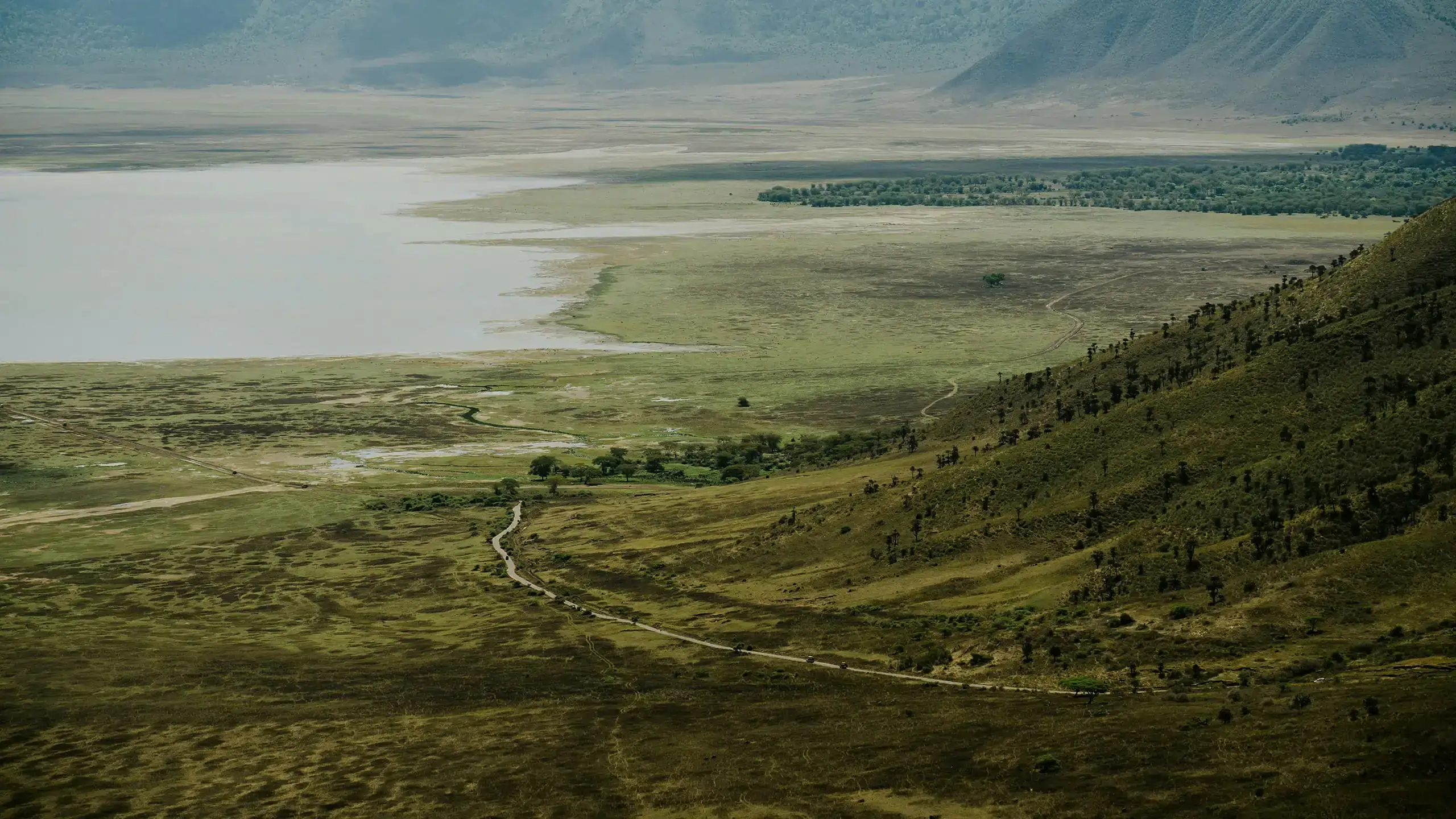 Sunrise over the savannah with acacia trees