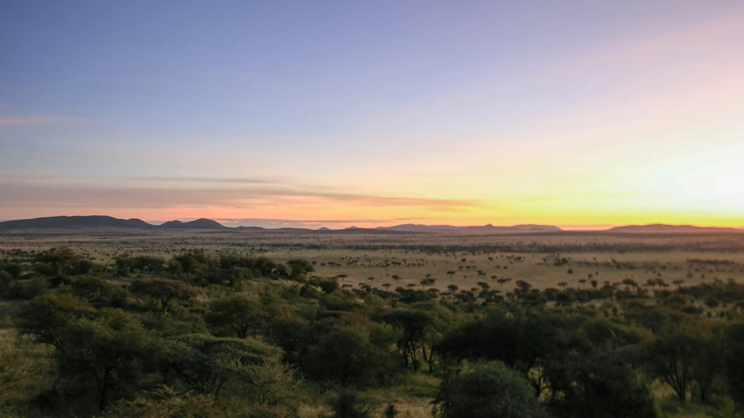 Quick Serengeti Escape