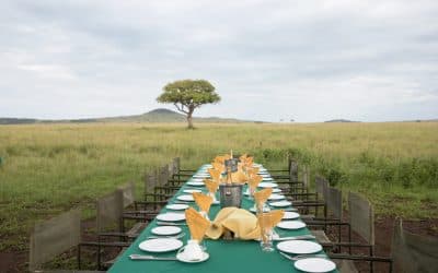 Champagne sundowner on safari