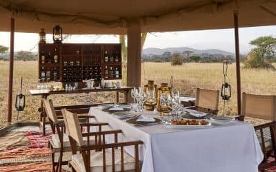 Birthday and party safari experiences