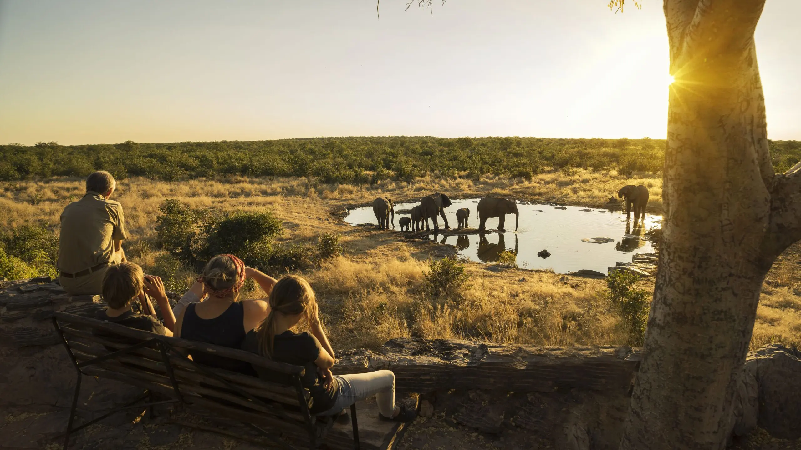 Family watching elephants at a waterhole