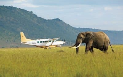Safari vehicle ready after a flight transfer