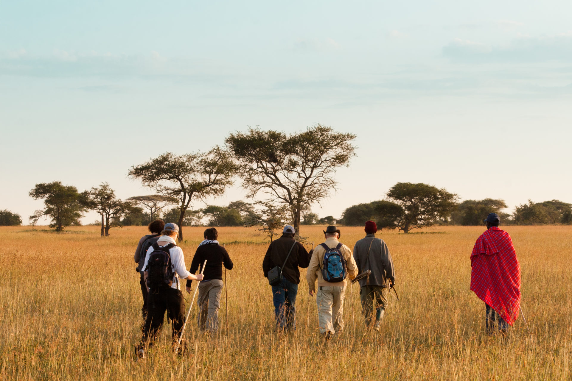 Walking Safaris