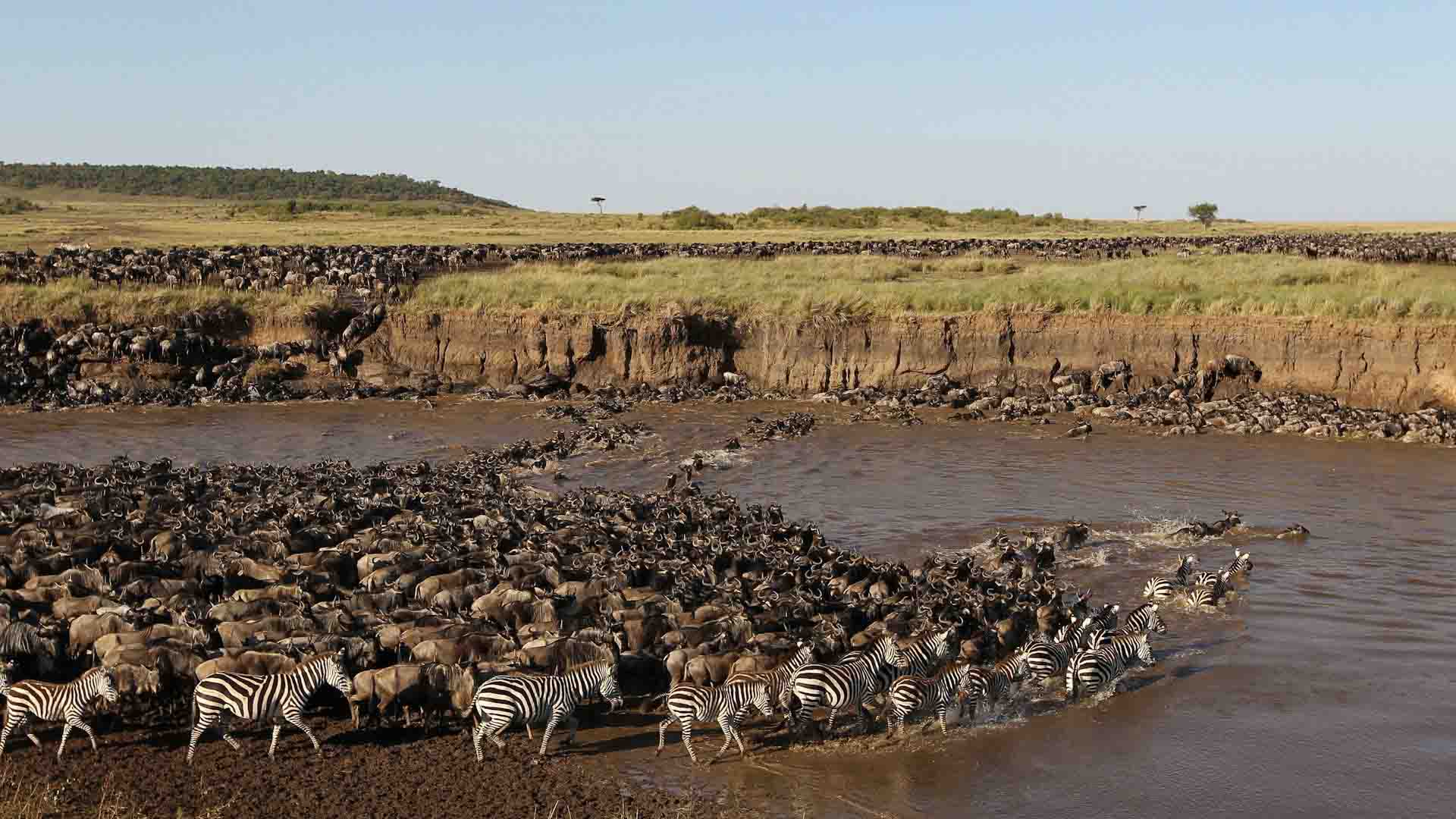 Great Migration