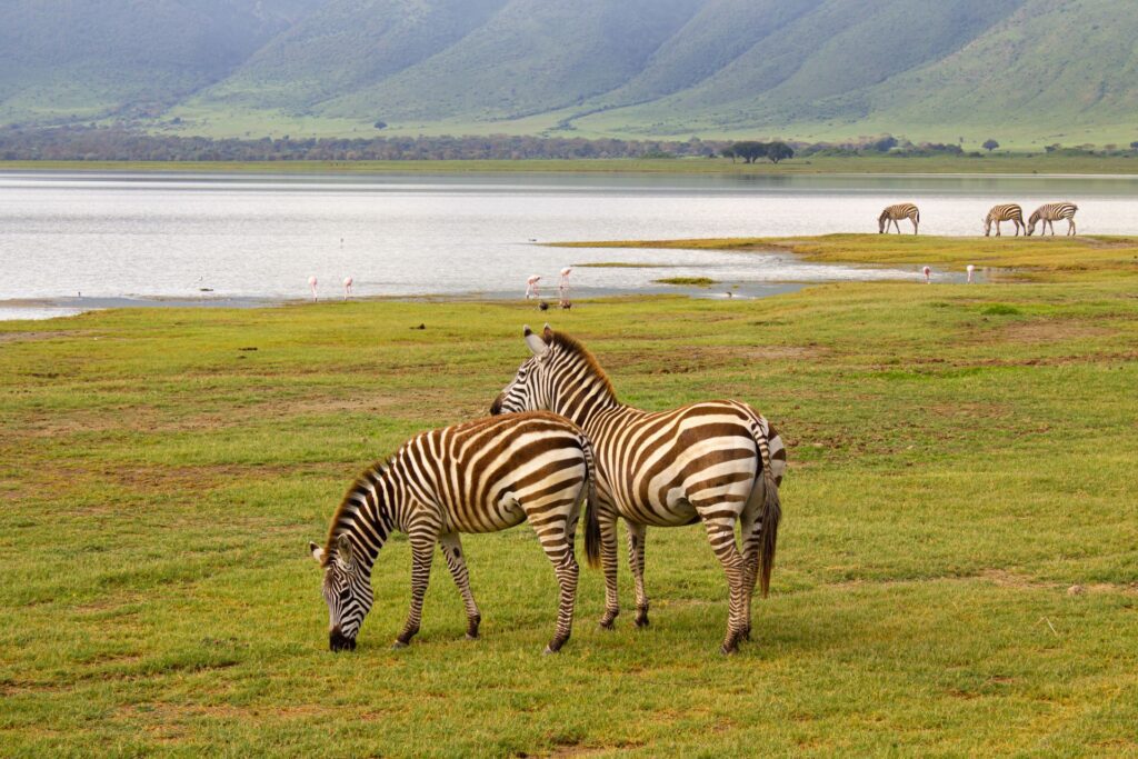 Lake Manyara