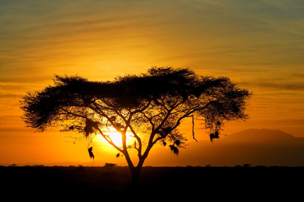 under-the-radar Serengeti spots