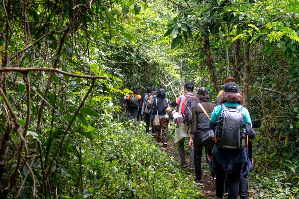 best time of year for gorilla trekking