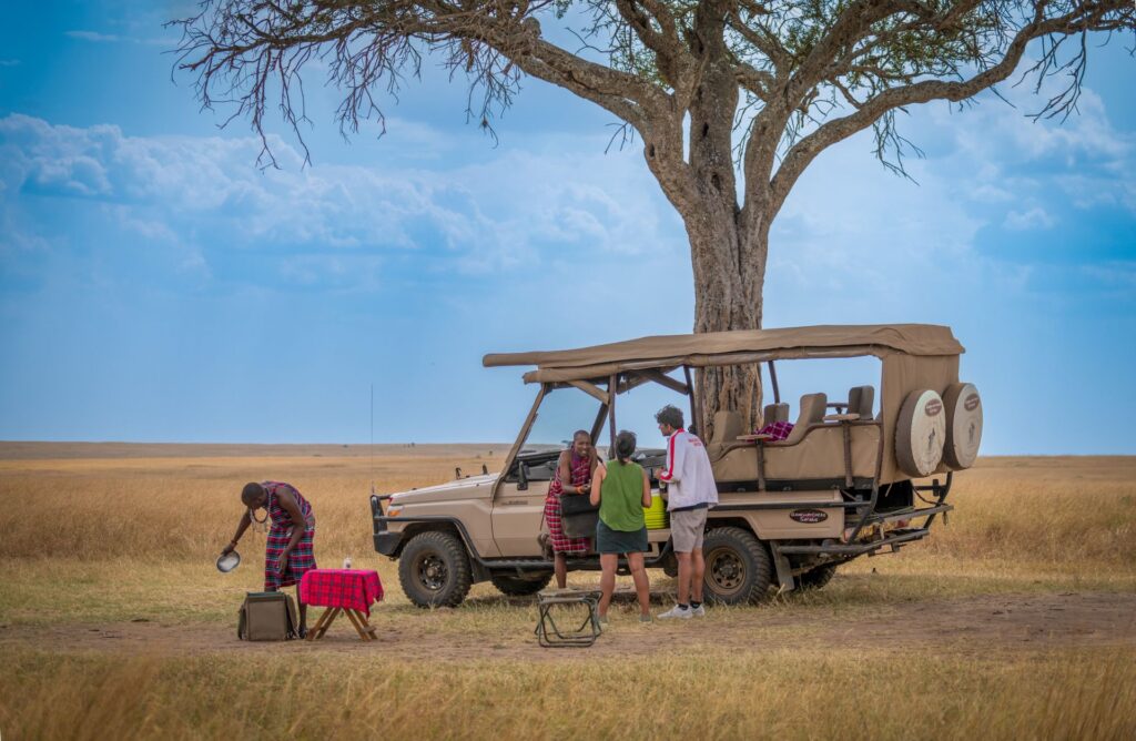 custom Tanzania safari