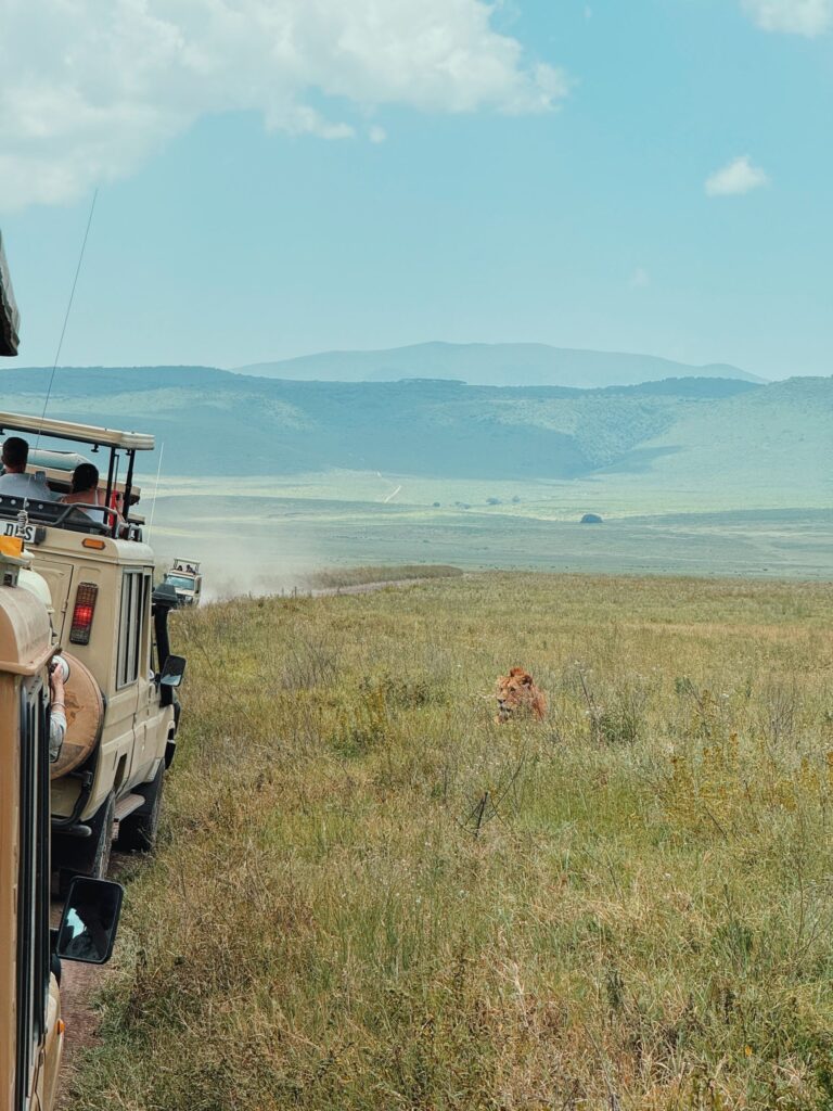 tailor made Tanzania safari