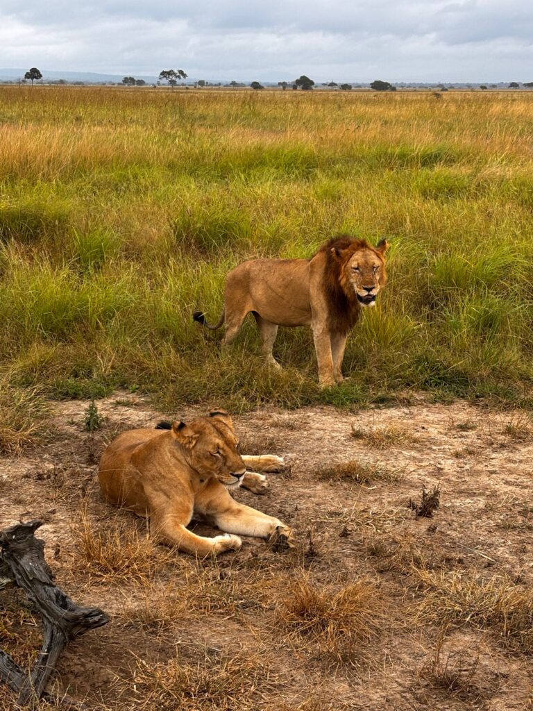 private Tanzania safari