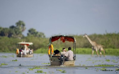 Top 5 Places for a River Safari in Tanzania with Malamsha Tanzania Safaris - Copy